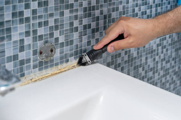 Best Certified Mold Removal  in West Hurley, NY